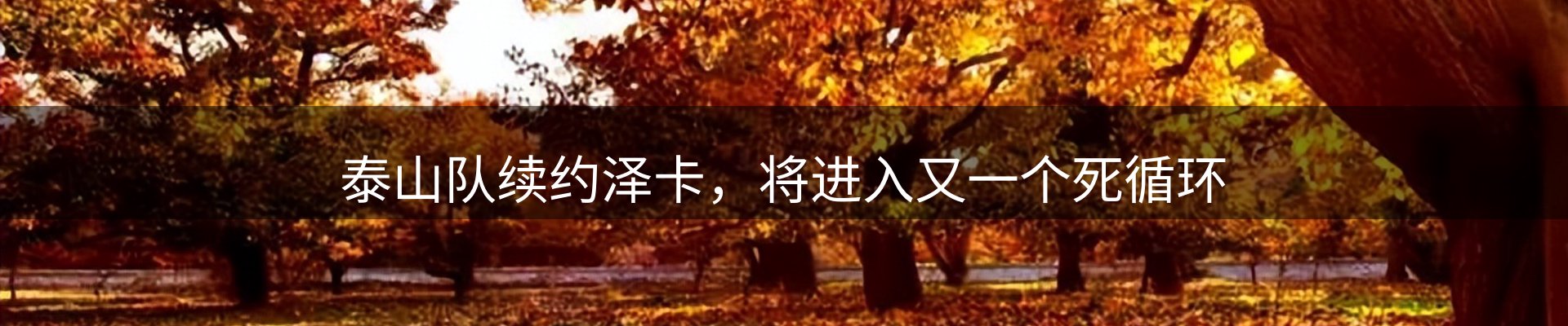 新闻汇集