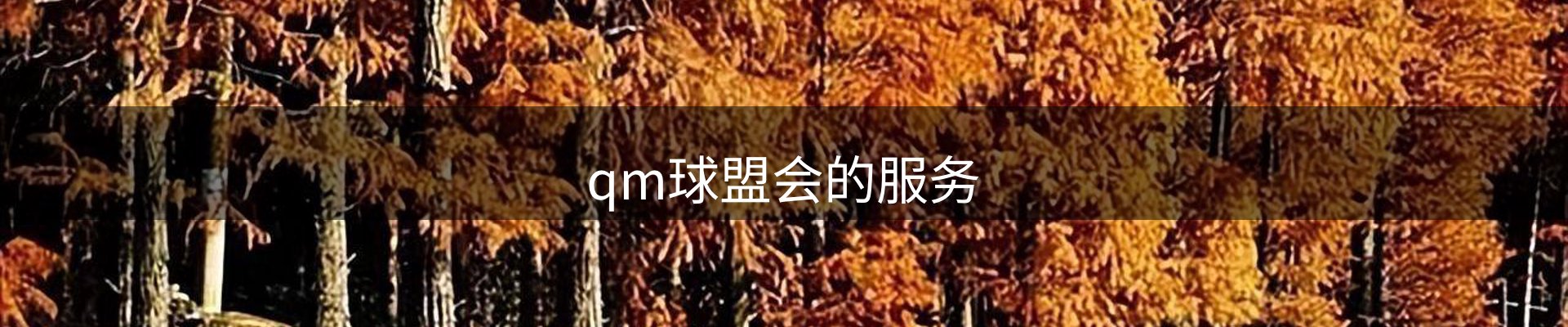 qm球盟会的服务